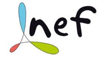 logo NEF-resize338x187.jpg
