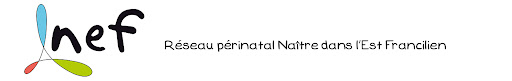 logo NEF.jpg