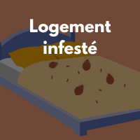 logement infesté.png